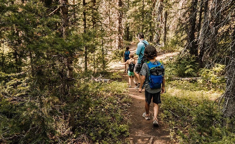Hiking Trails