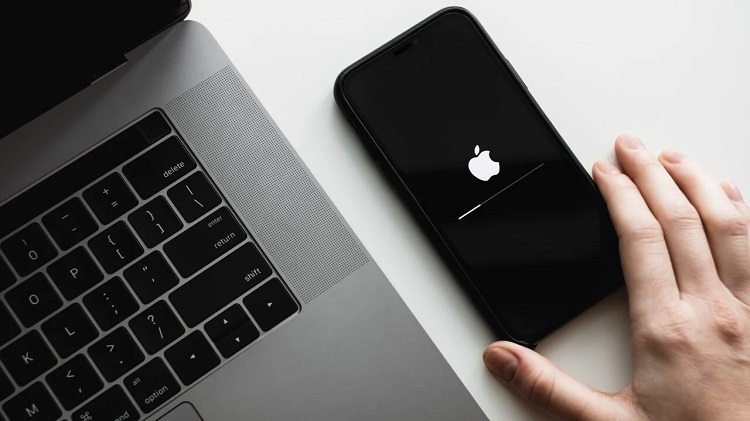 iPhone Data recovery and Backup software