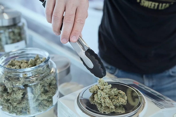 Buying Cannabidiol Online