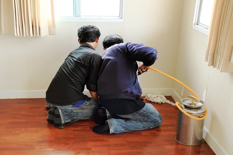 Repairing Termite Damage