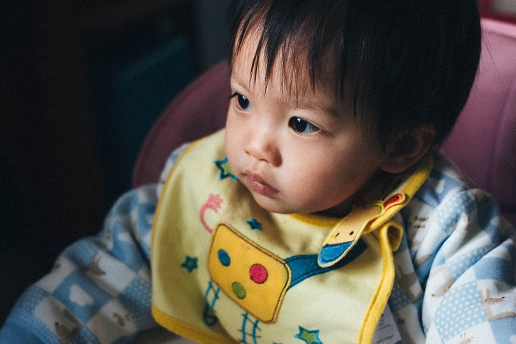 Fashionable Bib