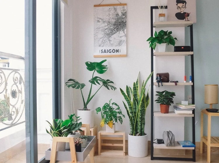 Revolutionize Your Home