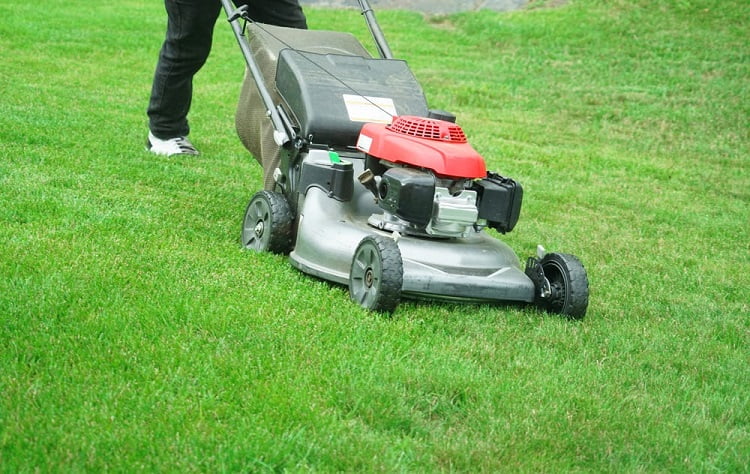 Lawn Mower for Yard