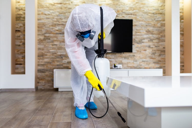 Pest Control