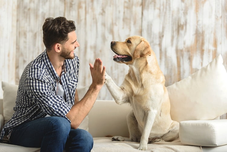 Pet Friendly
