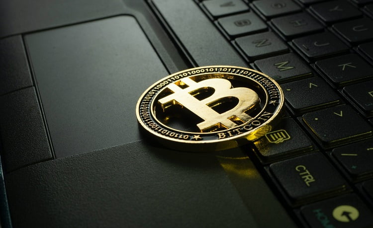 bitcode prime