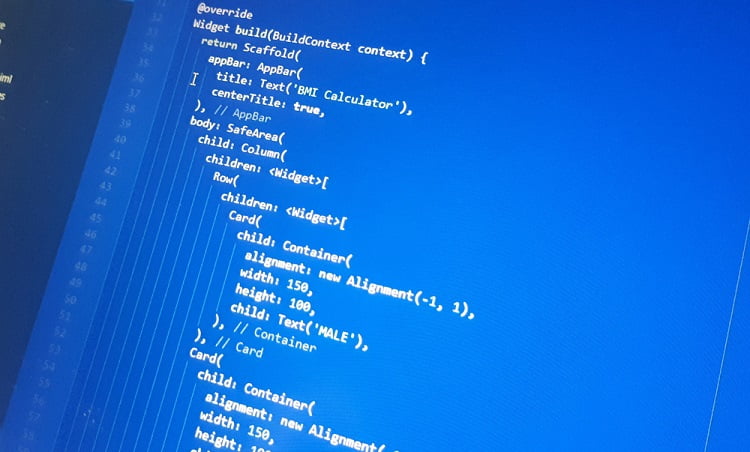 Flutter Developers