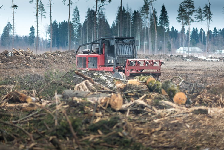 Forestry Mulching