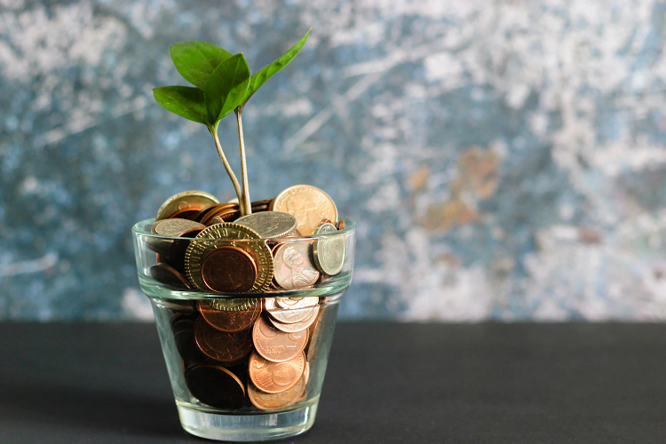 Financial Software