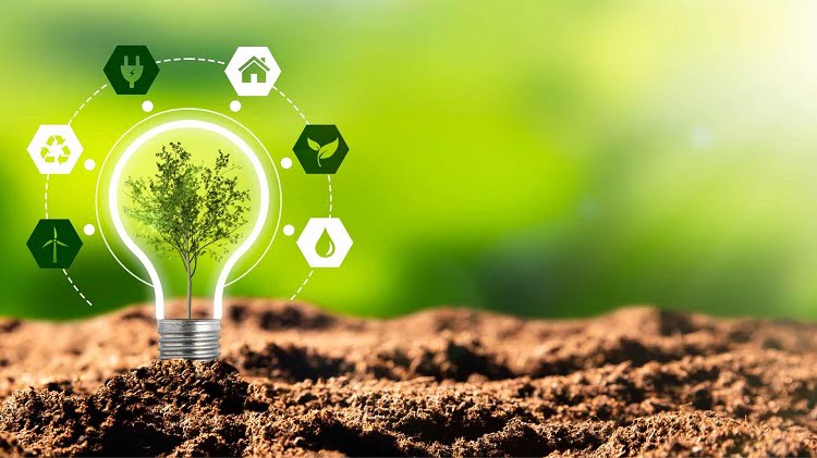 Green Businesses