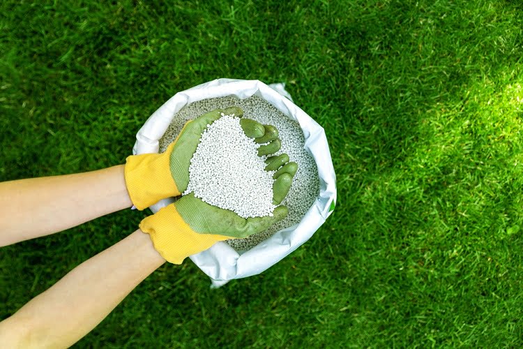Fertilizer