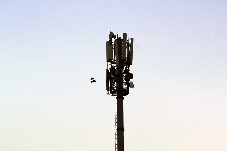 Mobile Networks