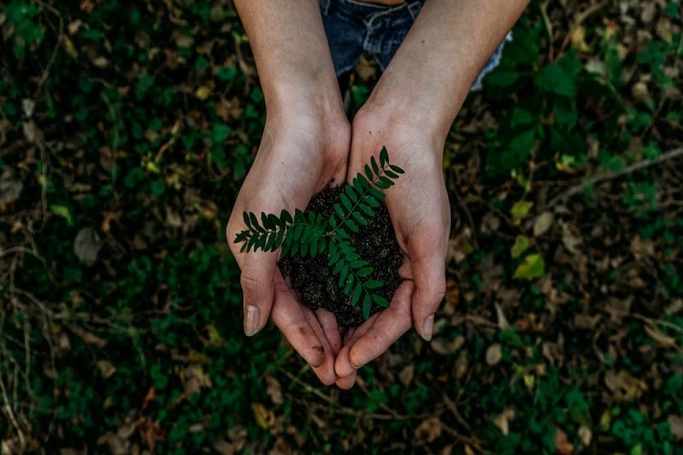 Eco-Conscious Family