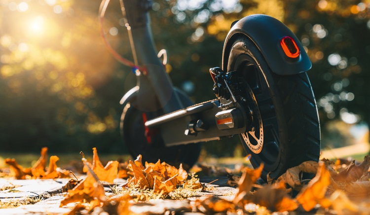 Electric Scooters