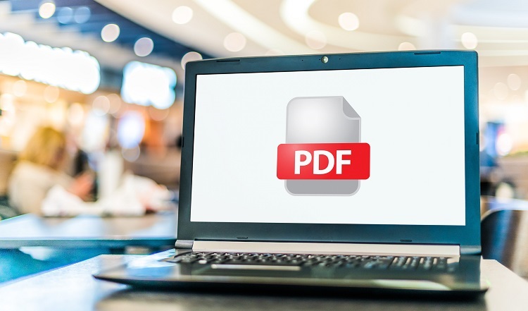 PDF File Size