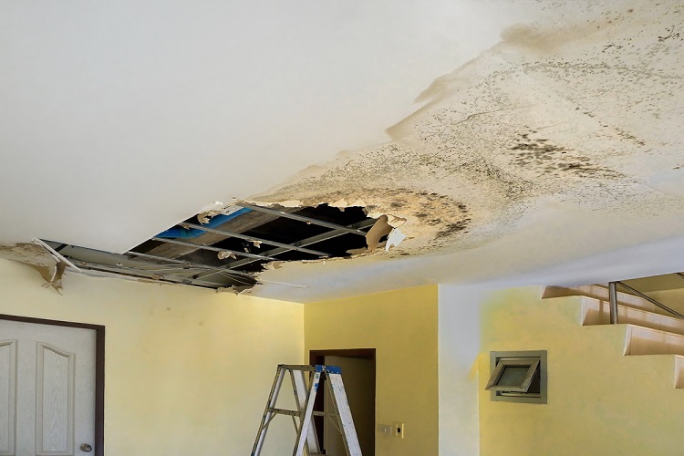 Building Water Leakage
