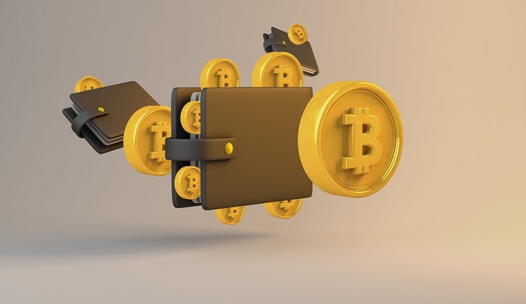 Crypto Wallets
