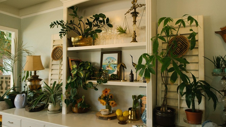 Home Improvement