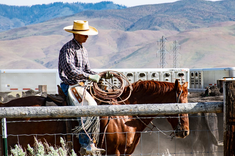 Cowboy Clothing