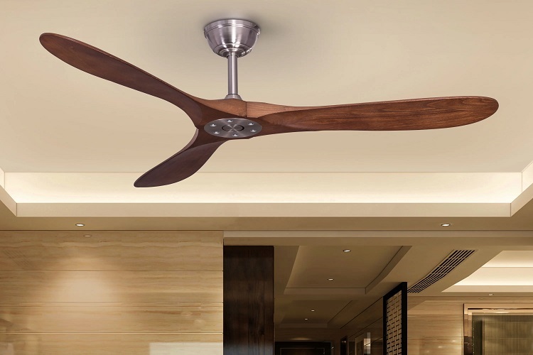 Ceiling Fan