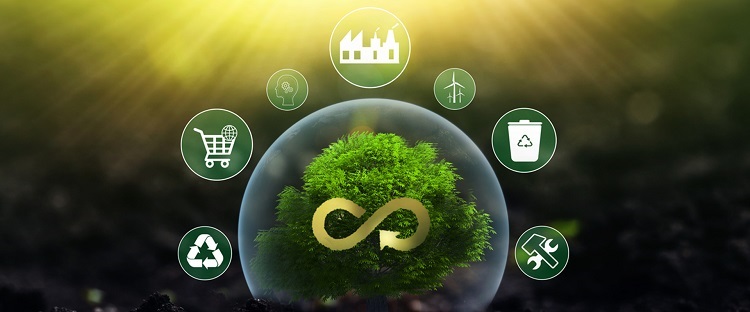 Circular Economy