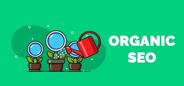 Organic SEO