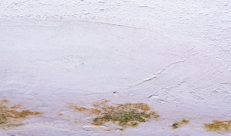 Texture Paint