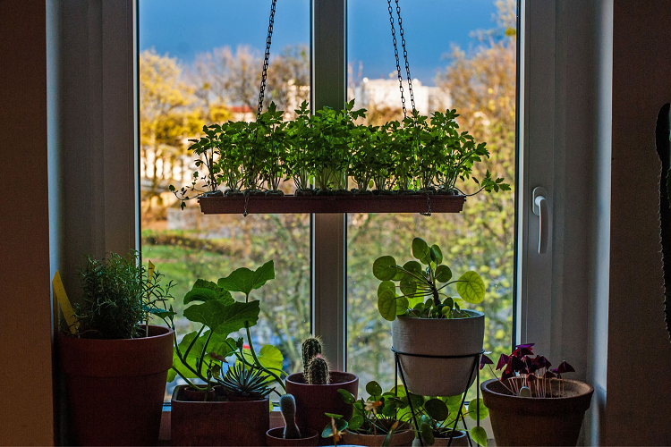 Garden Rooms