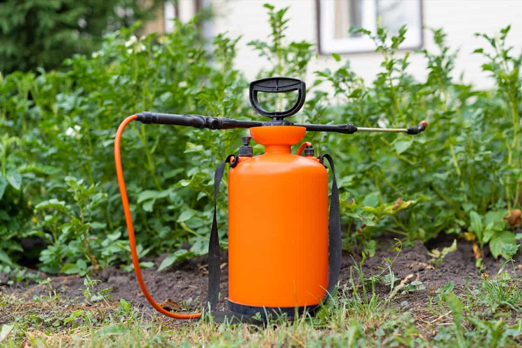 Landscaping Pesticides